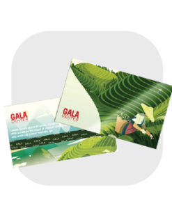 In Name Card - Card Vist - Danh thiếp