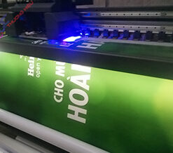 In Uv - Cuộn - Phẳng - DTF