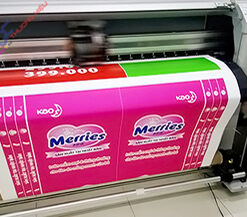 In PP Trong Nhà Và Ngoài Trời