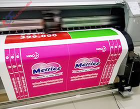 In PP Trong Nhà Và Ngoài Trời